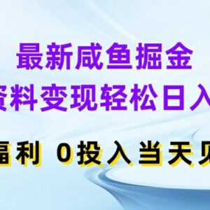 2024最新闲鱼虚拟资料变现玩法 零投入小白上手当天可见收益-雨叶虚拟资源网