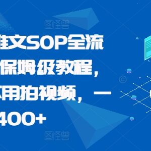 2024最新小说推文保姆级全流程SOP 零基础无需出镜拍视频可操作-雨叶虚拟资源网
