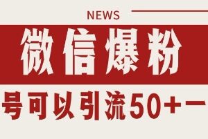 微信私域暴力引流爆粉实操方法 可实现日引千粉单号日入50+-雨叶虚拟资源网