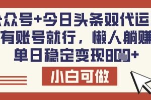 公众号+今日头条双代运营项目揭秘 低门槛操作即可实现稳定增收-雨叶虚拟资源网