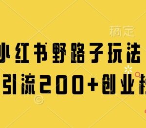 小红书引流创业粉实操玩法 合规操作单日可获取200+精准用户-雨叶虚拟资源网