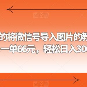 微信号导入图片实操教程 可私域引流或售卖教程轻松盈利-雨叶虚拟资源网