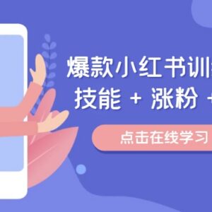 2024爆款小红书运营训练营 涨粉变现全流程实操教学课程-雨叶虚拟资源网