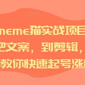 短视频meme猫实操教程 从选素材剪辑到快速起号涨粉全攻略-雨叶虚拟资源网