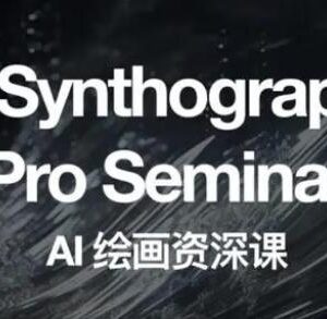 2023野菩萨AI绘画资深课 从基础操作到商业变现全教程-雨叶虚拟资源网