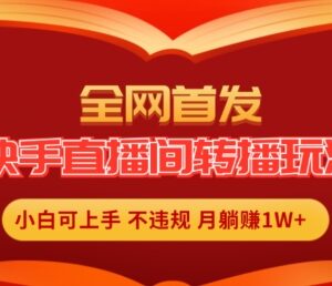 快手全无人合规转播直播玩法 小白易上手低门槛盈利项目详解-雨叶虚拟资源网