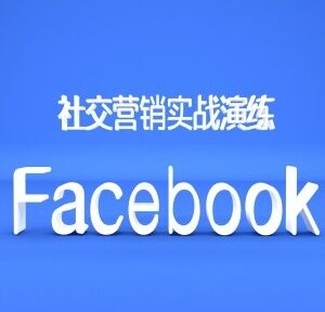 2024外贸Facebook社交营销实战教程 从注册到获客全流程指南-雨叶虚拟资源网