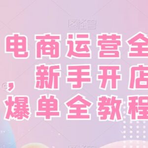 抖音小店运营全套实操教程 新手开店起店爆单全流程指南-雨叶虚拟资源网