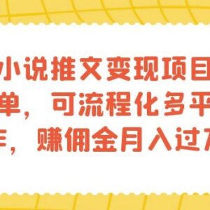 知乎小说推文变现项目教程 多平台流程化操作赚佣金方法-雨叶虚拟资源网