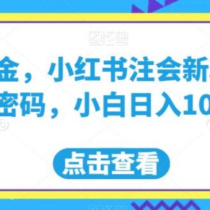 小红书注会蓝海赛道虚拟资料变现玩法 低门槛小白可日入千元-雨叶虚拟资源网