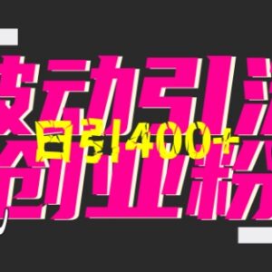 2024创业粉全平台引流教程 AI做视频单条引流300+实操方法-雨叶虚拟资源网