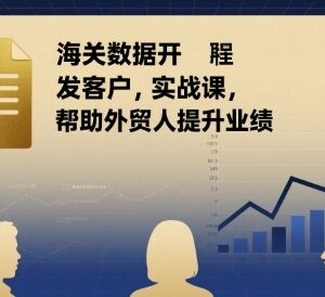 外贸海关数据开发客户实战课 掌握实用技巧助力业绩提升-雨叶虚拟资源网