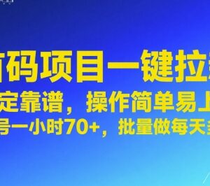 首码一键拉新项目实操指南 稳定易上手单号单小时收益超70元-雨叶虚拟资源网