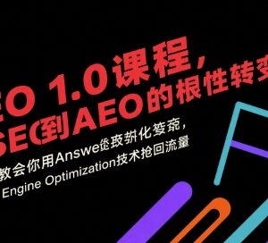 AEO1.0实操课程 传统SEO向答案引擎优化转型流量获取教程-雨叶虚拟资源网