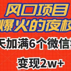 夜校引流变现实操玩法揭秘 7天加满6个微信群变现超2万-雨叶虚拟资源网