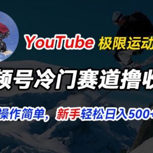 视频号冷门赛道玩法：搬运YouTube极限运动集锦起号赚收益指南-雨叶虚拟资源网