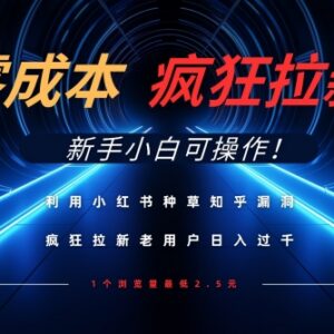 小红书种草配合知乎拉新零成本项目 新手小白可轻松上手操作-雨叶虚拟资源网