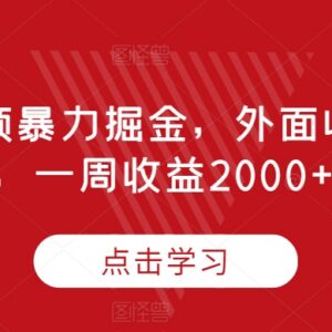 腾讯视频掘金项目玩法揭秘 付费899的一周收益2000+实操教程-雨叶虚拟资源网
