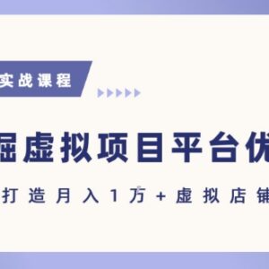 虚拟项目各平台优势拆解 新手实操指引助力轻松实现月入过万-雨叶虚拟资源网