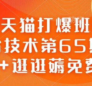 淘宝天猫打爆班第65期 AI+逛逛薅免费流量高阶实操教程-雨叶虚拟资源网