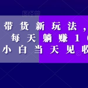 短视频特效零食带货玩法解析 新手低门槛操作当日可获收益-雨叶虚拟资源网