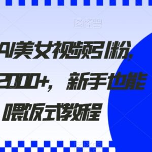 2024年AI美女视频引粉教程 新手易上手单号日引流2000+-雨叶虚拟资源网