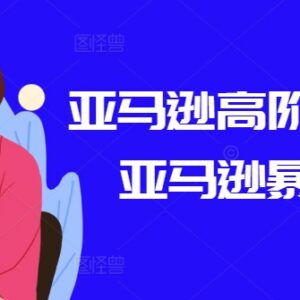 亚马逊高阶运营打法教程 选品广告优化全流程实操课程-雨叶虚拟资源网