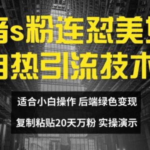 抖音美女号连怼引流实操方法 20天万粉无需实名可矩阵运营-雨叶虚拟资源网