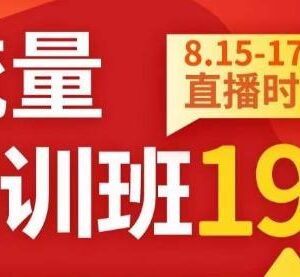 秋秋线上流量密训班19.0 中小卖家电商流量破局实操课程-雨叶虚拟资源网