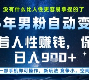 低门槛男粉全自动变现项目详解 操作简单收益到账快-雨叶虚拟资源网