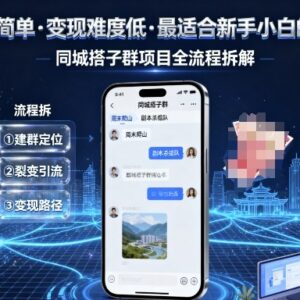 适合新手的低门槛同城搭子群项目 全流程实操变现方法拆解-雨叶虚拟资源网