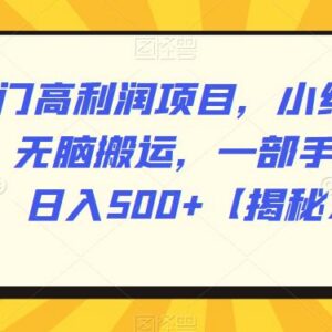 小红书冷门高利润带货玩法 无脑搬运仅用一部手机可实现日入500+-雨叶虚拟资源网