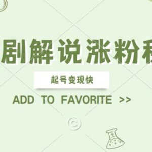 2024AI短剧解说涨粉起号变现攻略 新手可操作支持矩阵运营-雨叶虚拟资源网