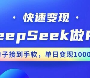 用DeepSeek做PPT实操教程 10分钟出稿小白可上手接单变现-雨叶虚拟资源网