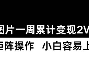 小红书卖图片蓝海变现项目教程 零基础小白易上手周入可达2W+-雨叶虚拟资源网