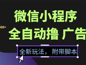 2025微信小程序全自动撸广告项目 零门槛新手可做附流量解决方案-雨叶虚拟资源网
