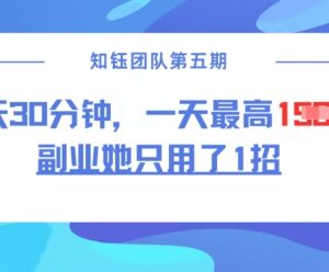 低门槛二创副业实操教程 每天30分钟上手单日最高赚1.5k-雨叶虚拟资源网