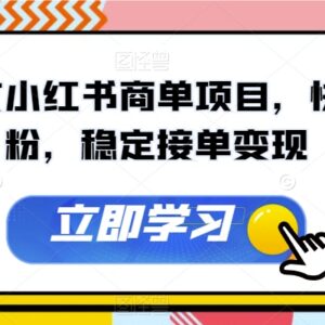 AI图文小红书商单项目全拆解 快速涨粉接单变现实操教程-雨叶虚拟资源网