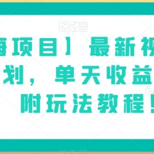 2024最新微信视频号分成计划实操教程 附玩法及真实收益说明-雨叶虚拟资源网