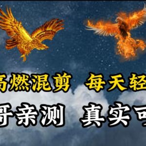 零基础做动物超燃混剪副业 剪辑简单受众广上手快收益可观-雨叶虚拟资源网