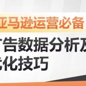 亚马逊广告数据分析及优化技巧 降ACOS提广告效果带动销量增长-雨叶虚拟资源网