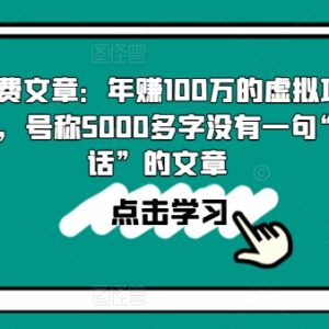 年赚100万虚拟项目实操打法 5000字无废话全流程经验分享-雨叶虚拟资源网