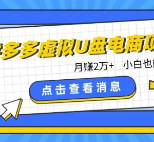 拼多多虚拟U盘电商项目玩法 新手低门槛可落地获利实操指南-雨叶虚拟资源网