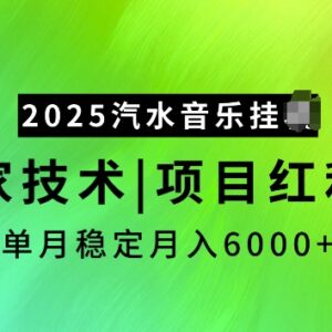 2025汽水音乐挂机项目实操攻略 红利期单账号稳定月入6000+-雨叶虚拟资源网