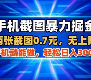 美团酒店截图赚佣金项目操作指南 单部手机即可操作收益稳定-雨叶虚拟资源网