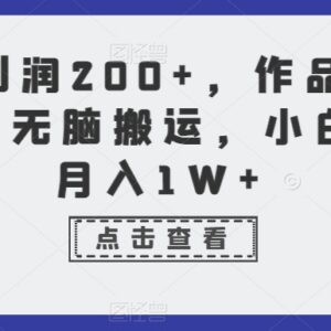母婴刚需品搬运售卖赚钱项目拆解 小白易上手单利润可达200+-雨叶虚拟资源网