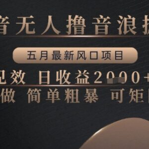 2024年5月最新抖音无人直播撸音浪项目 新手可操作当天见效-雨叶虚拟资源网