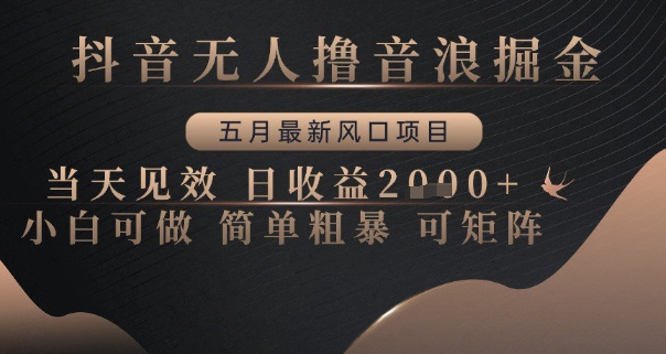 2024年5月最新抖音无人直播撸音浪项目 新手可操作当天见效