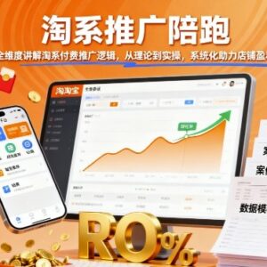 淘系付费推广陪跑课程 全维度讲逻辑从理论到实操助店铺盈利-雨叶虚拟资源网