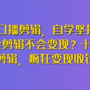 博主口播剪辑入门教程 剪辑技能提升及变现方法实操教学-雨叶虚拟资源网